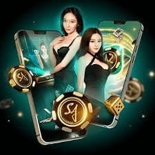 dbbet app