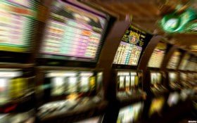 dbbet app
